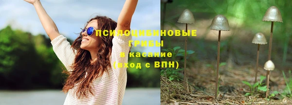 ПСИЛОЦИБИНОВЫЕ ГРИБЫ Алексеевка