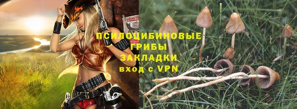 ПСИЛОЦИБИНОВЫЕ ГРИБЫ Алексеевка