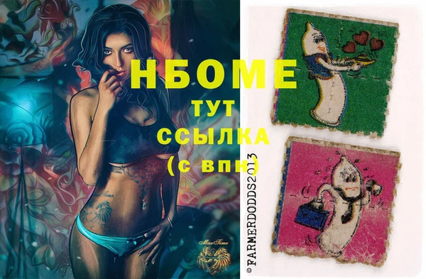 хмурый Горняк