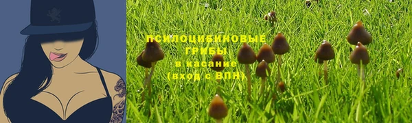 бошки Алексин