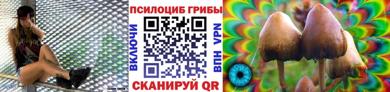 hydra зеркало  Еманжелинск  Галлюциногенные грибы Psilocybine cubensis 