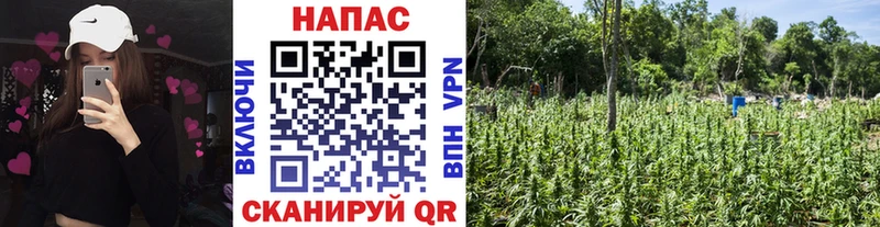 купить наркотик  Еманжелинск  гидра как войти  Шишки марихуана AK-47 